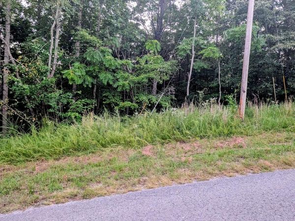 Lot 109 Chimney Rock Road, New Tazwell, TN 37825