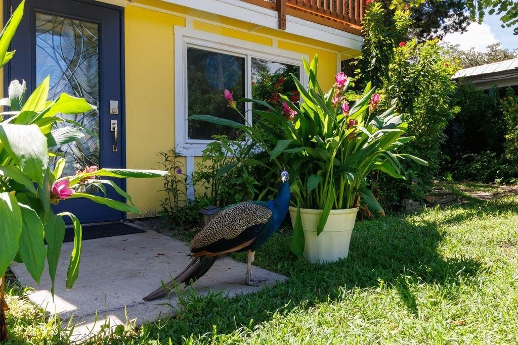12870 83rd Avenue, Sebastian, FL 32958 Photo