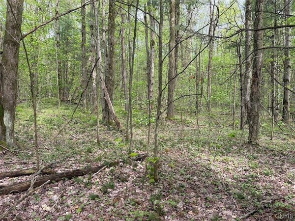 Kellogg Hill Road , South Dayton, NY 14138