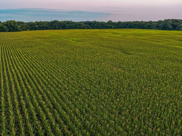 Big Bear Road , Stratford, IA 50249