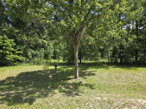 8911 NW 58TH LANE , GAINESVILLE, FL 32653