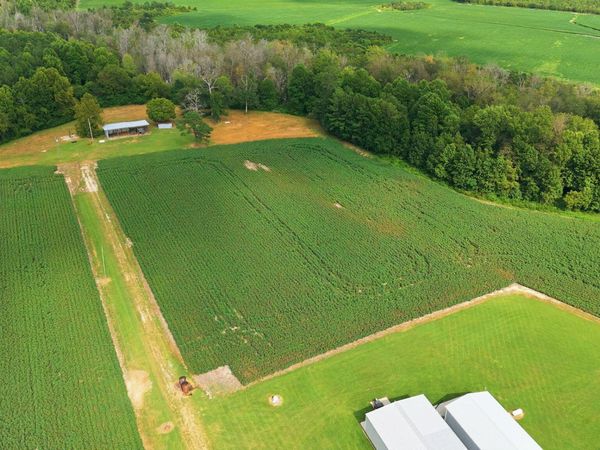 1811 Cannon Road , Hobgood, NC 27843