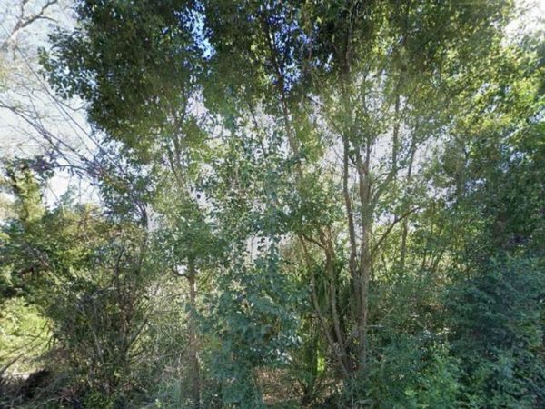 906 N Harris Avenue, Panama City, FL 32401