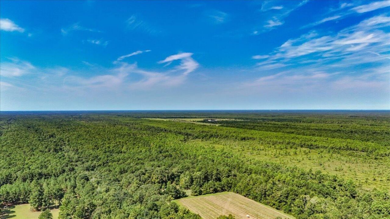 128 Sandridge Lane Photo 42