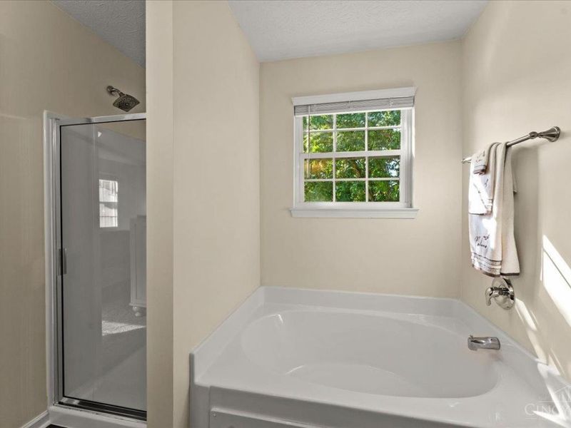 4456 Springfield Court, Union Township, OH 45103 Photo 20