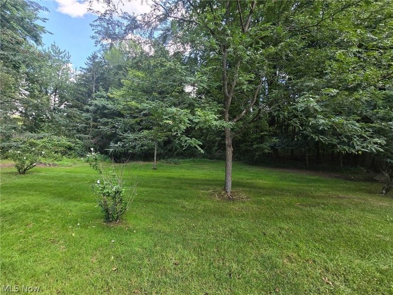 5153 Sheaters Drive, North Canton, OH 44720 Photo 8