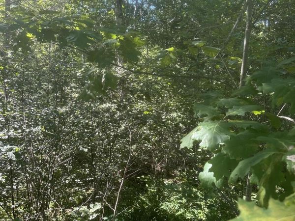 Lot 5 W Side Unionville Road , Steuben, ME 04680