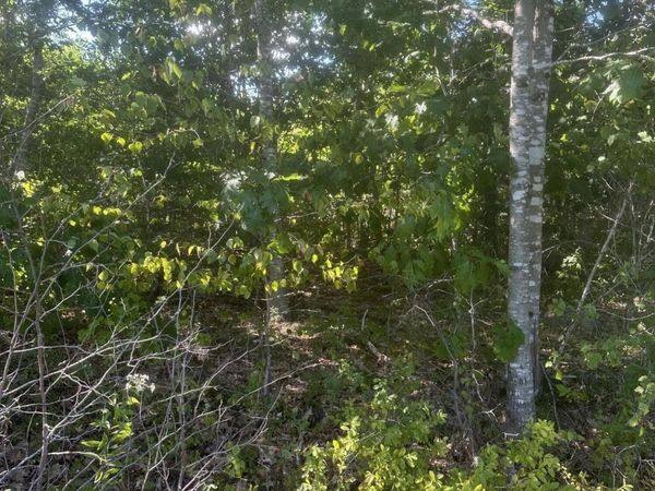 Lot 3 W Side Unionville Road , Steuben, ME 04680
