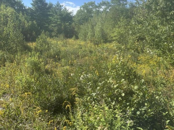 Lot 4 W Side Unionville Road , Steuben, ME 04680