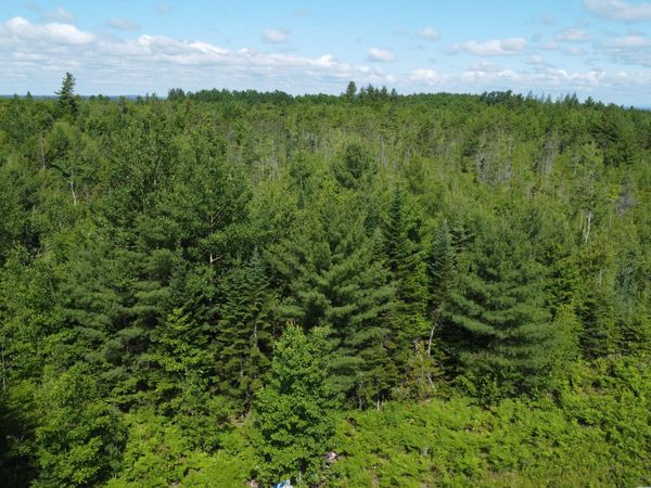 030-007 Off Cardville Road , Greenbush, ME 04418