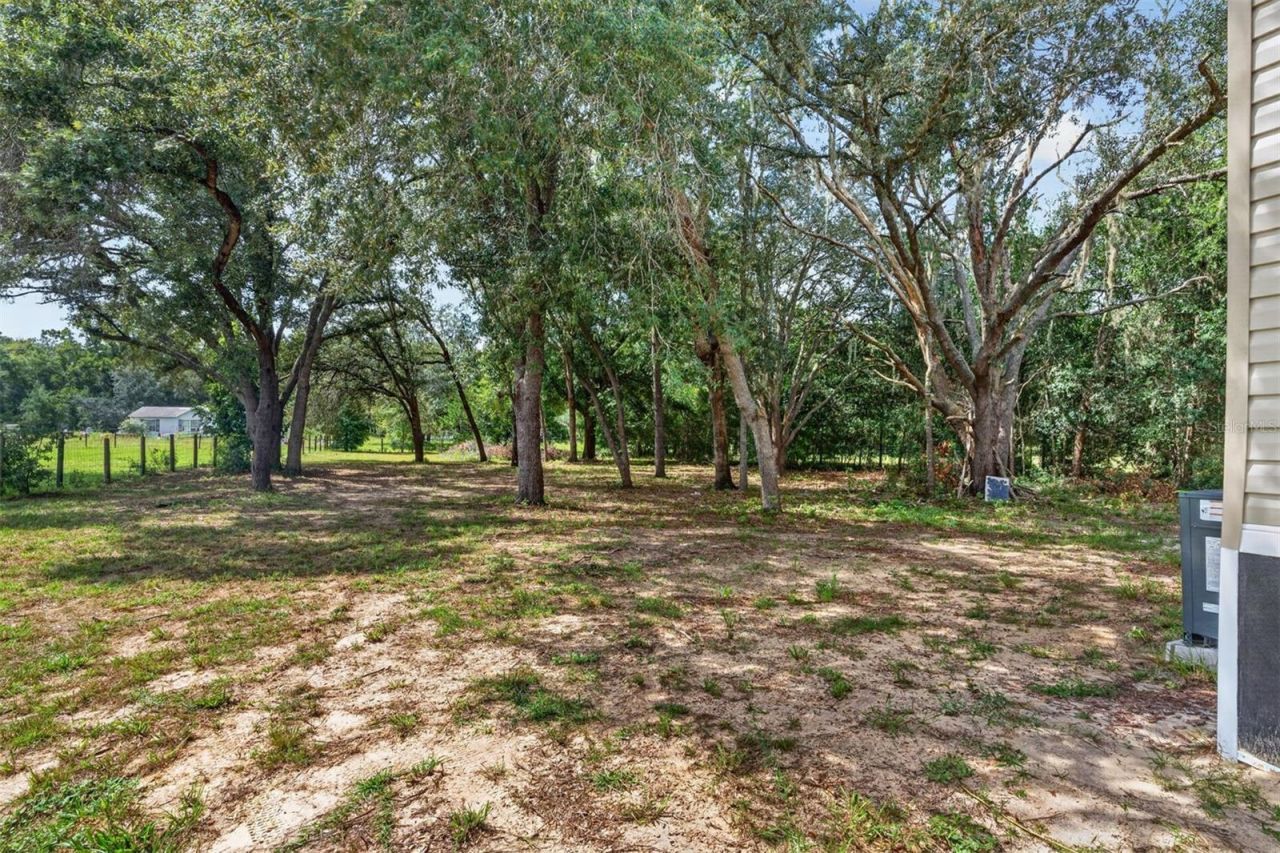 8330 NE 113th Lane , Bronson, FL 32621 Photo