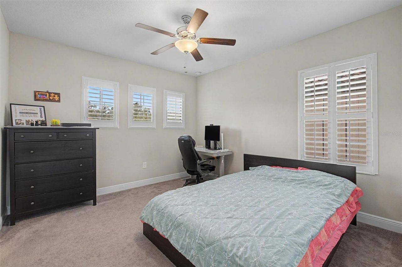 21616 Amelia Rose Way, Land O Lakes, FL 34637 Photo
