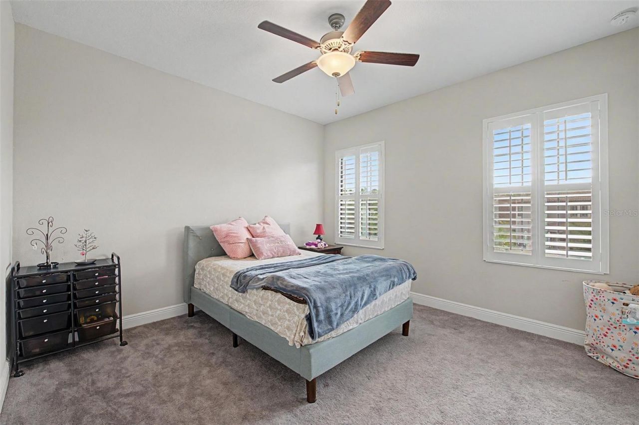 21616 Amelia Rose Way, Land O Lakes, FL 34637 Photo