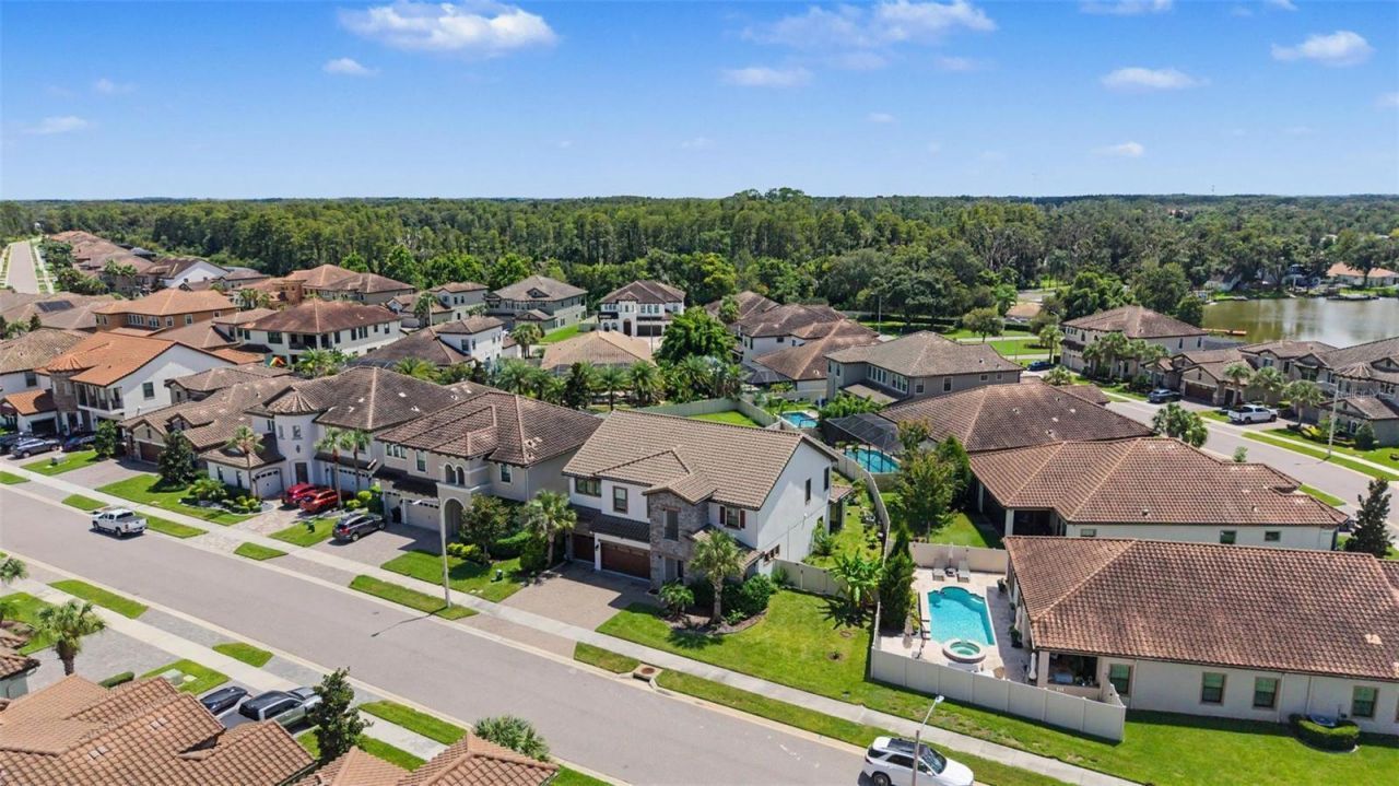 21616 Amelia Rose Way, Land O Lakes, FL 34637 Photo