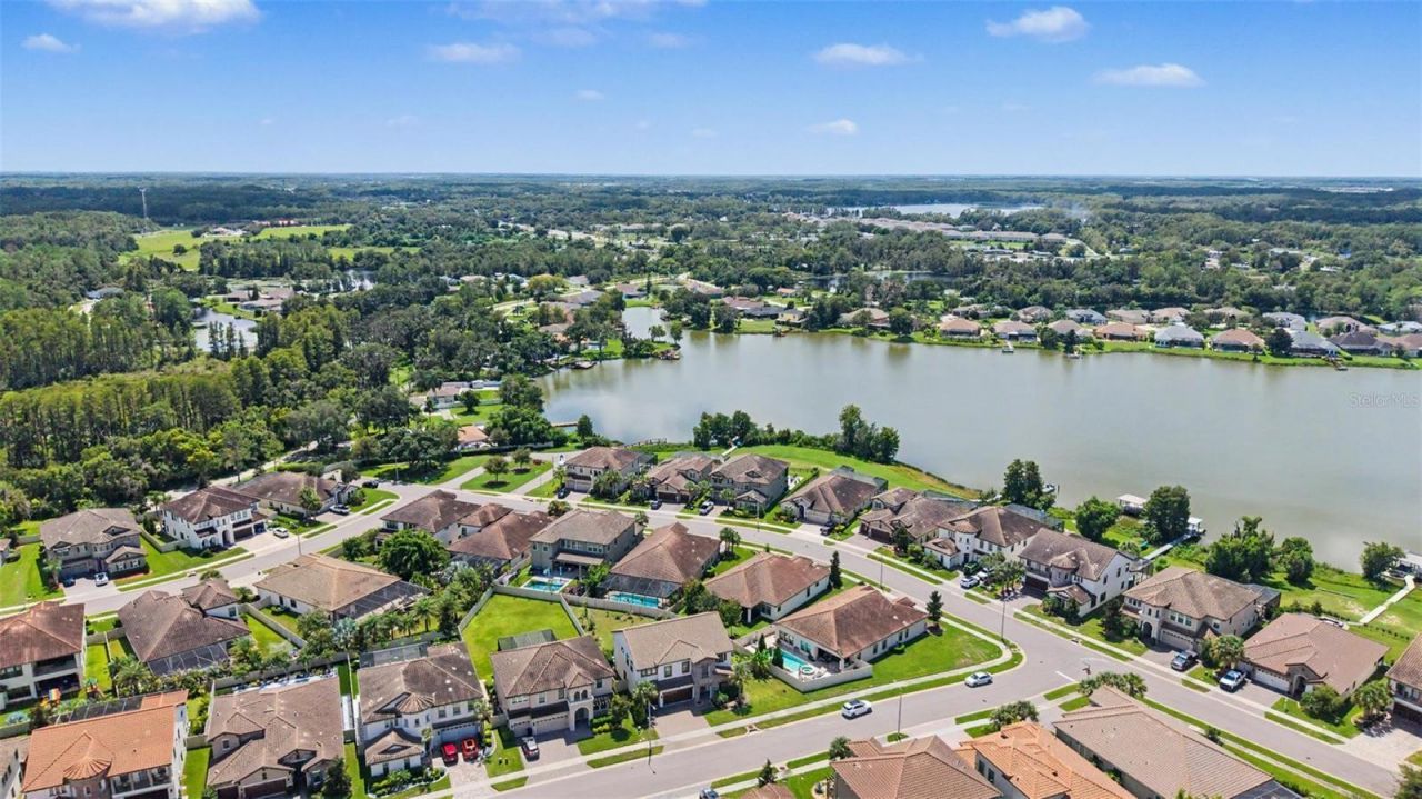 21616 Amelia Rose Way, Land O Lakes, FL 34637 Photo