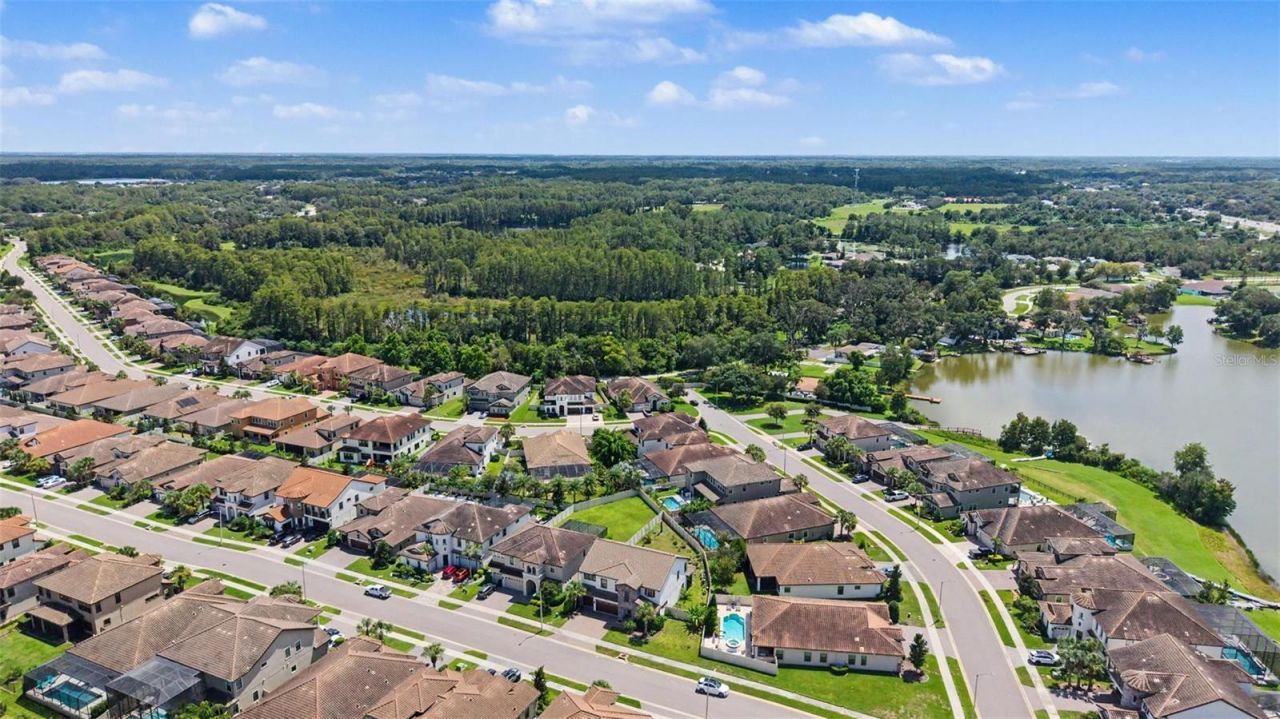 21616 Amelia Rose Way, Land O Lakes, FL 34637 Photo