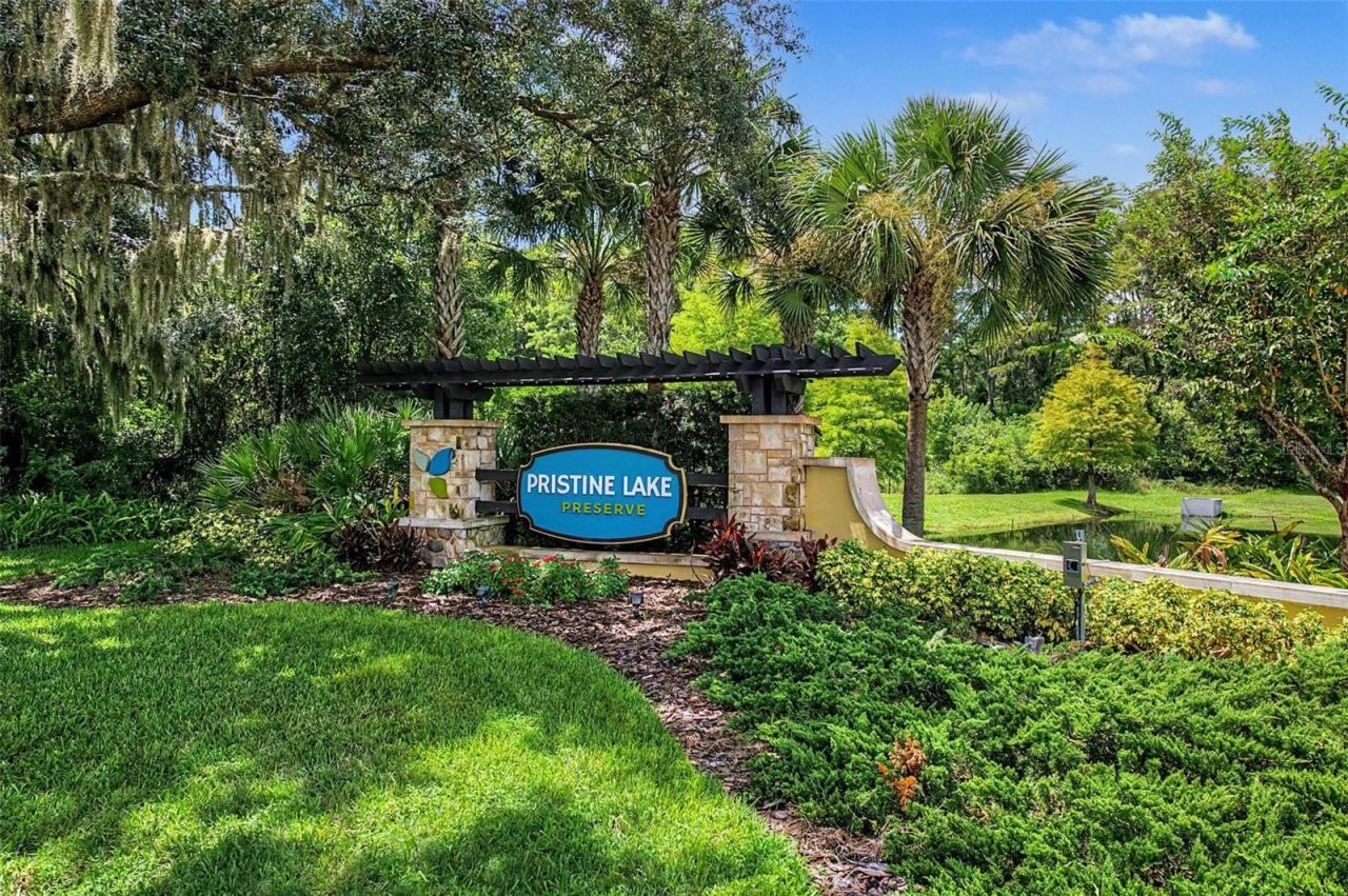 21616 Amelia Rose Way, Land O Lakes, FL 34637 Photo