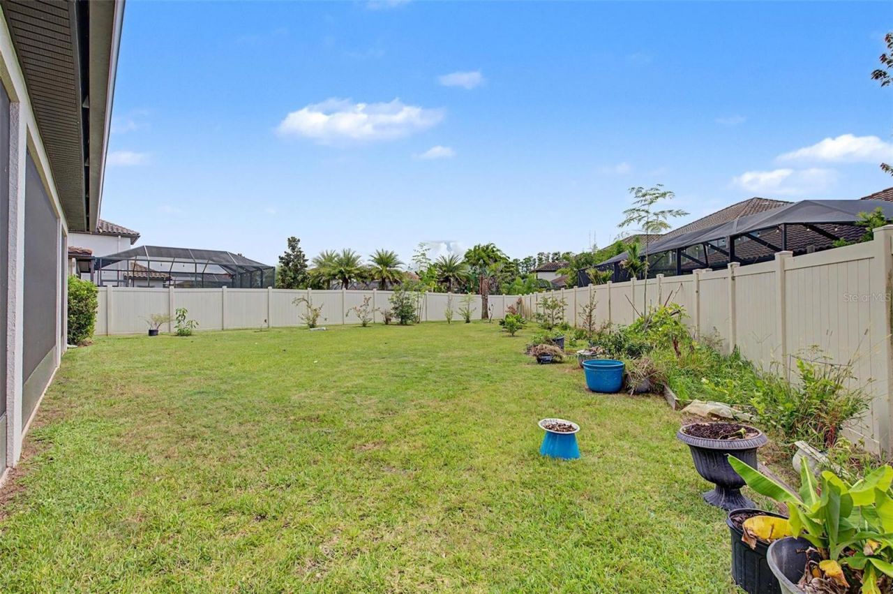 21616 Amelia Rose Way, Land O Lakes, FL 34637 Photo