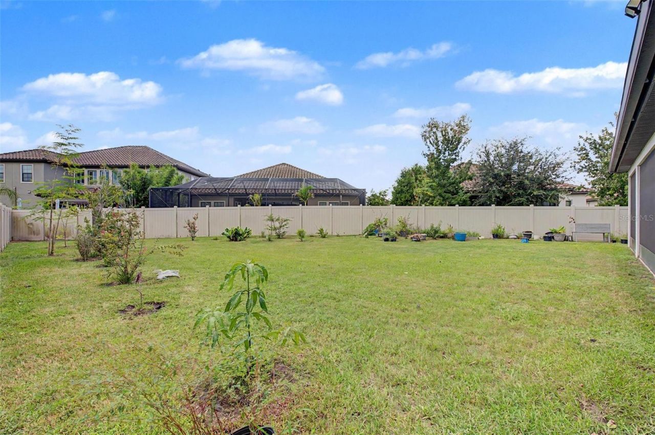 21616 Amelia Rose Way, Land O Lakes, FL 34637 Photo