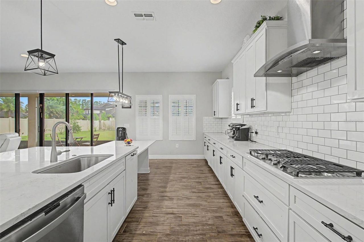 21616 Amelia Rose Way, Land O Lakes, FL 34637 Photo