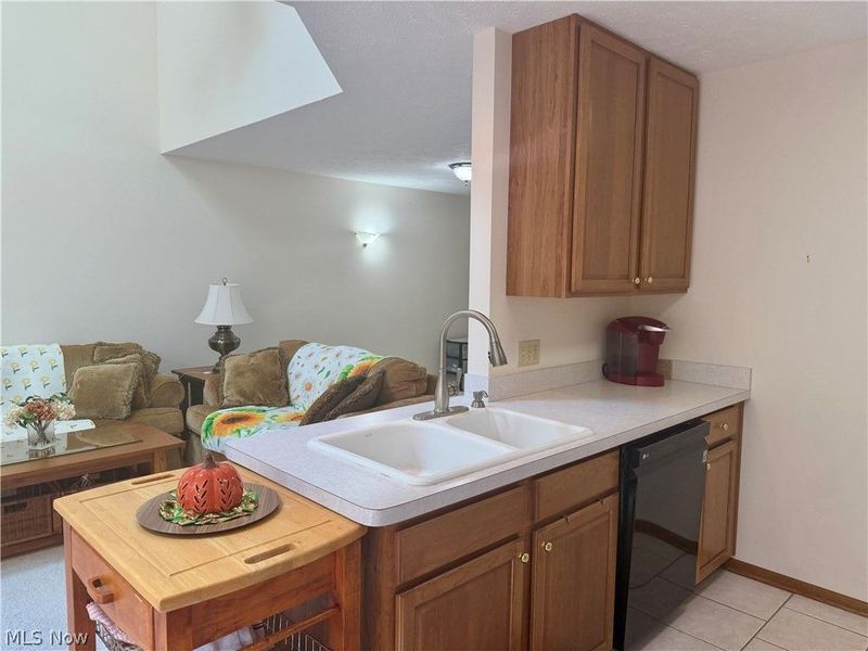 1021 Parsons Road, Grafton, OH 44044 Photo 12