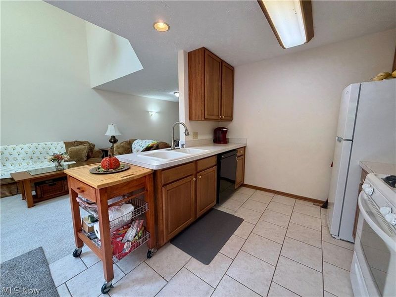 1021 Parsons Road, Grafton, OH 44044 Photo 13