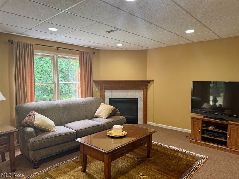 1021 Parsons Road, Grafton, OH 44044 Photo 33