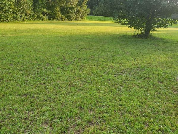 0 HWY 45 HWY, Ramer, TN 38367