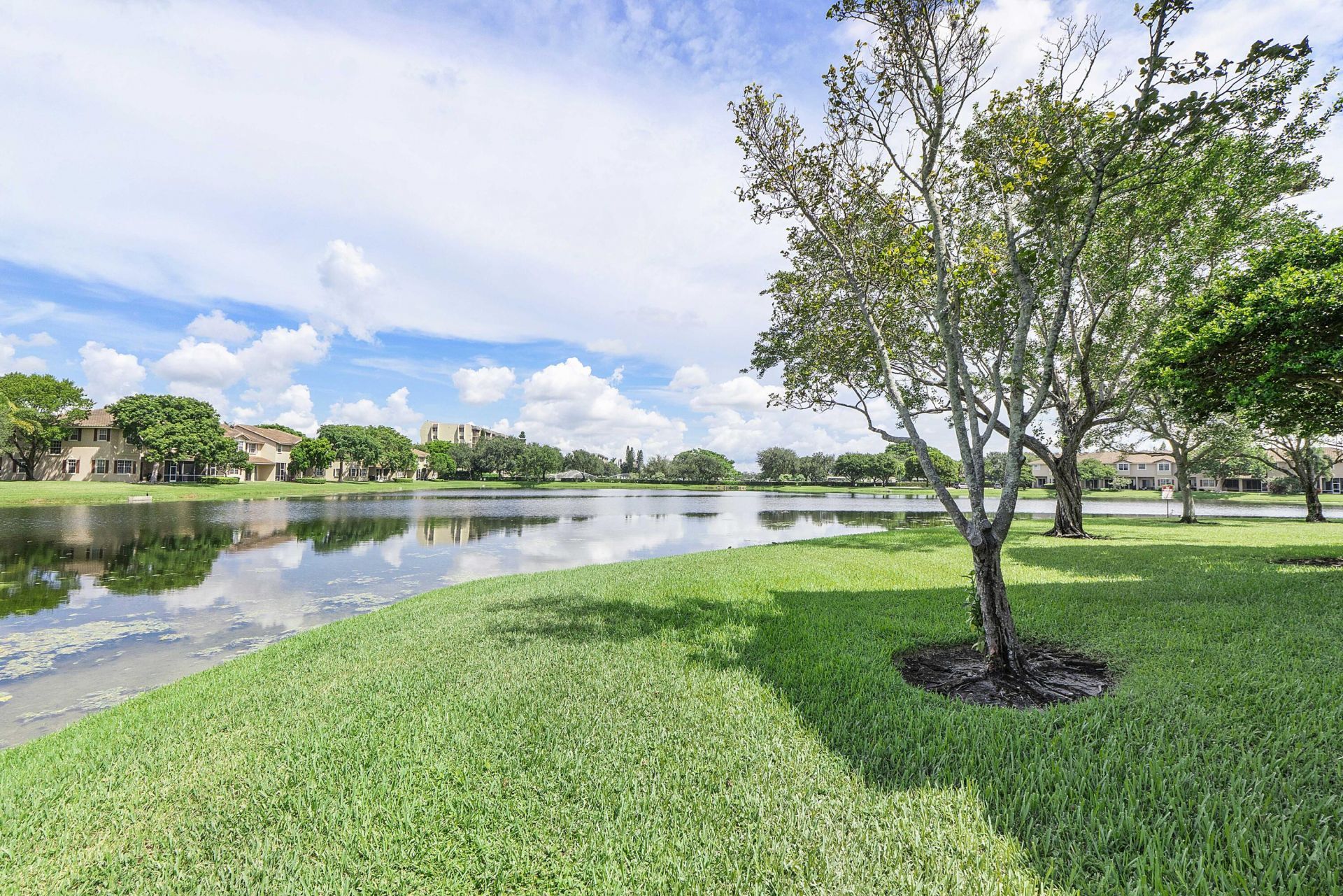 3505 Lakeside Drive, Davie, FL 33328 Photo
