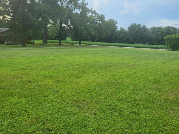 0 ALLEN MCCOY RD, Ramer, TN 38367