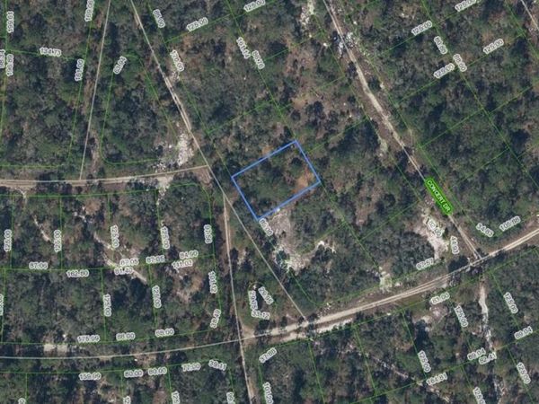379 Blue Horizon Drive , Lake Placid, FL 33852