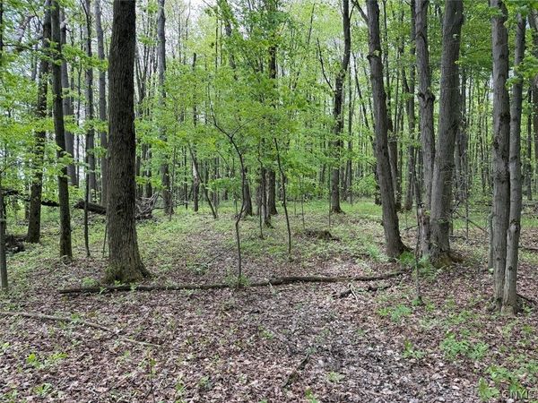 Kellogg Hill Road , South Dayton, NY 14138