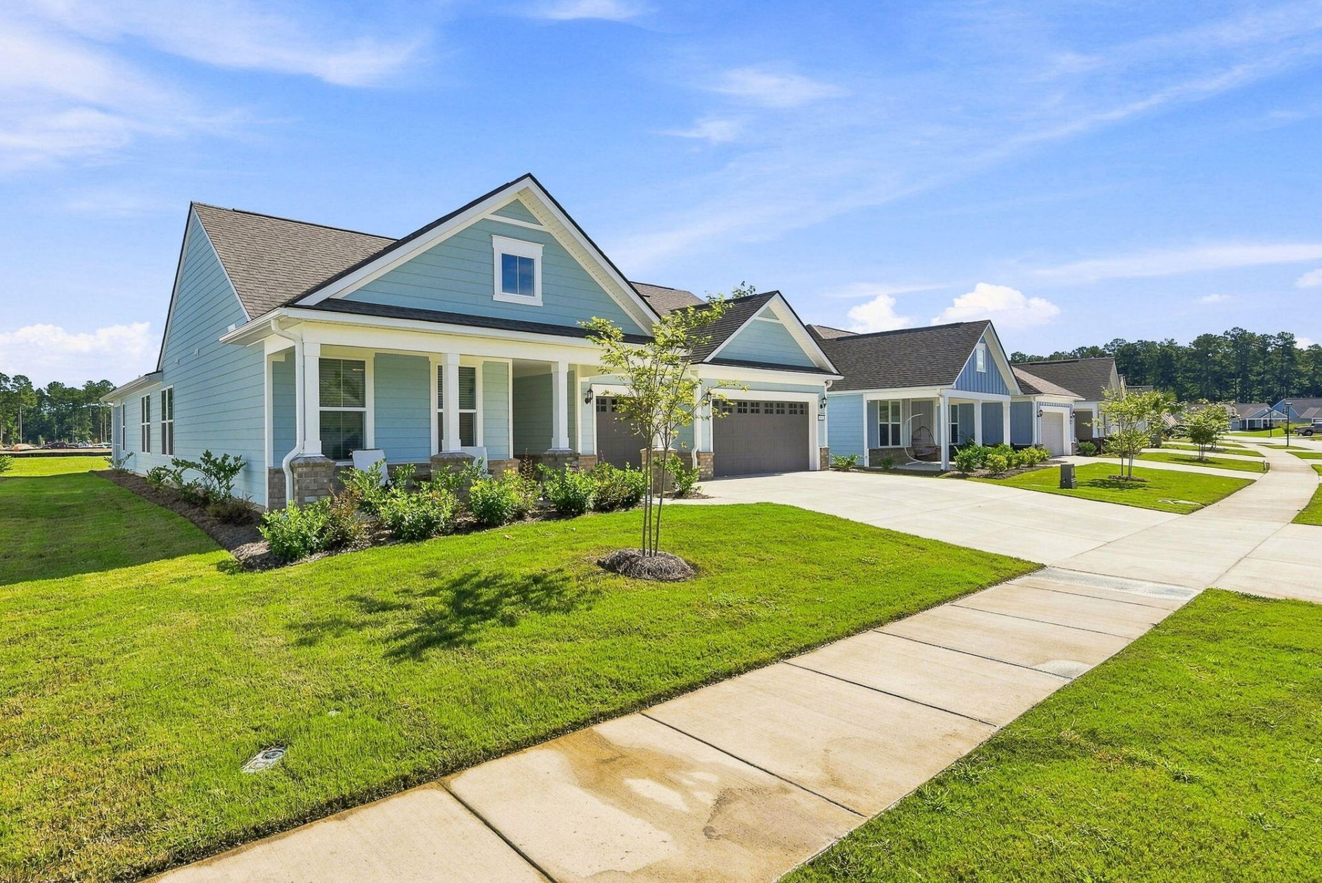 532 Pink Lily Lane Photo 30