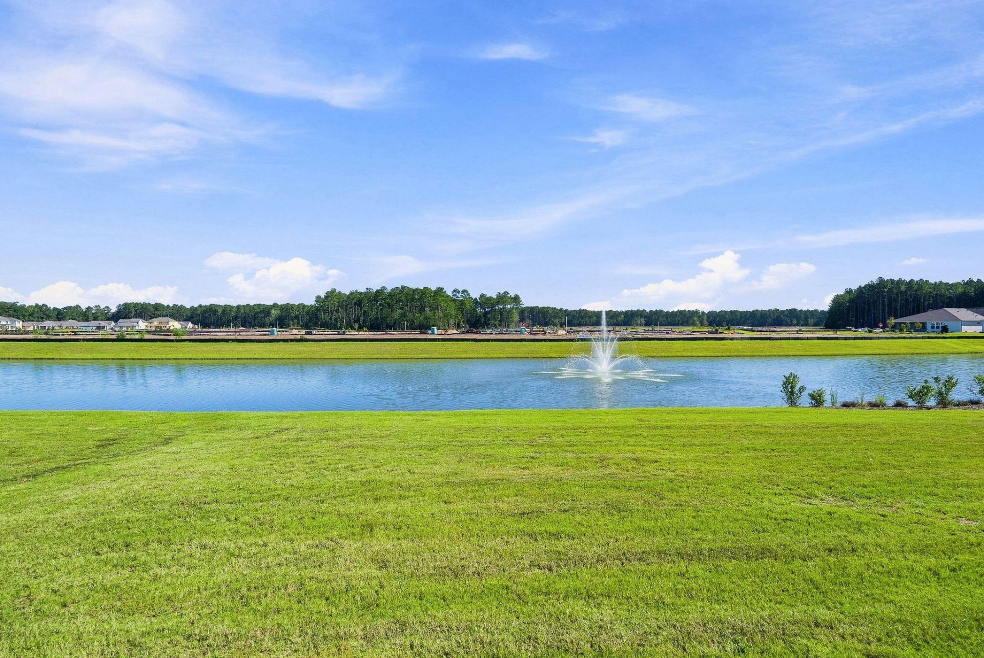 532 Pink Lily Lane Photo 39
