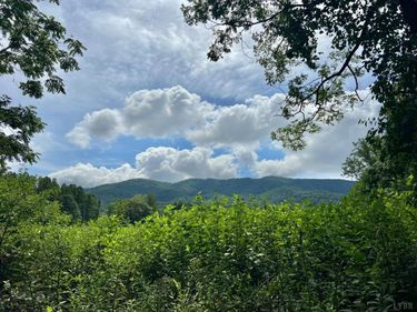12 Gun Mountain Drive, Monroe, VA 24574