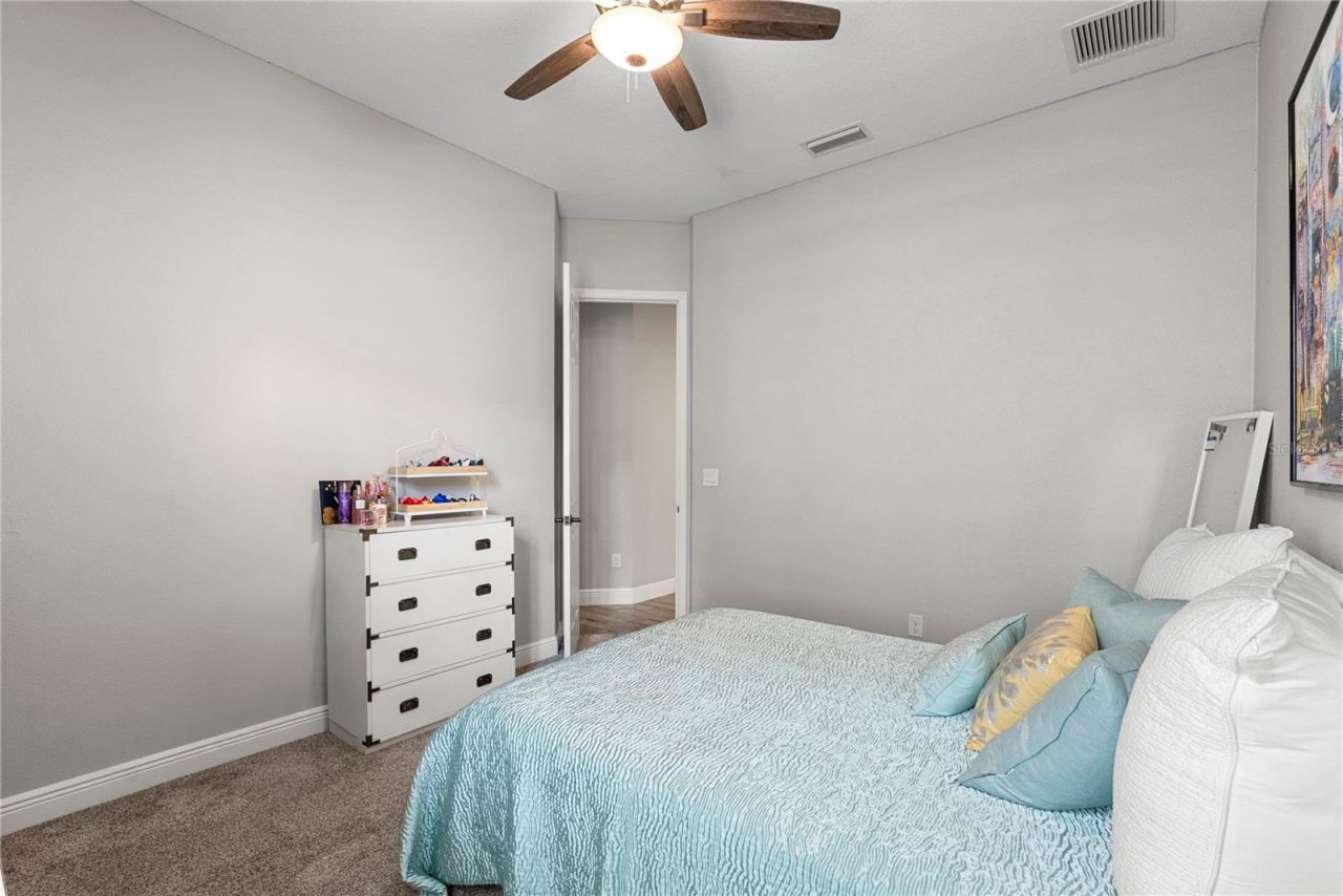 1404 Hamlin Ridge Avenue, Valrico, FL 33596 Photo