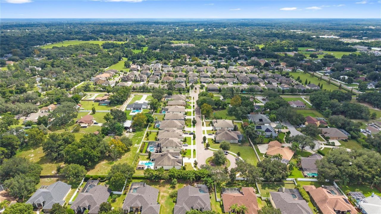 1404 Hamlin Ridge Avenue, Valrico, FL 33596 Photo