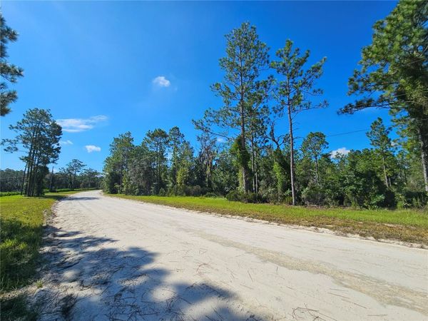 0000 NE 38TH PLACE , WILLISTON, FL 32696