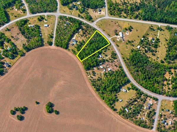 0000 NE 38TH PLACE , WILLISTON, FL 32696