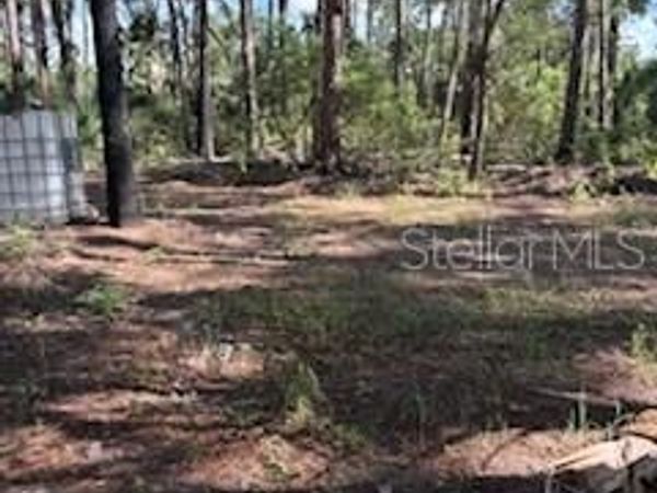 37610 OAKLEE ROAD , UMATILLA, FL 32784