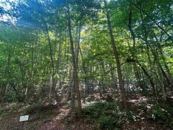 Lot 272 Hummingbird Court , Lake Lure, NC 28746