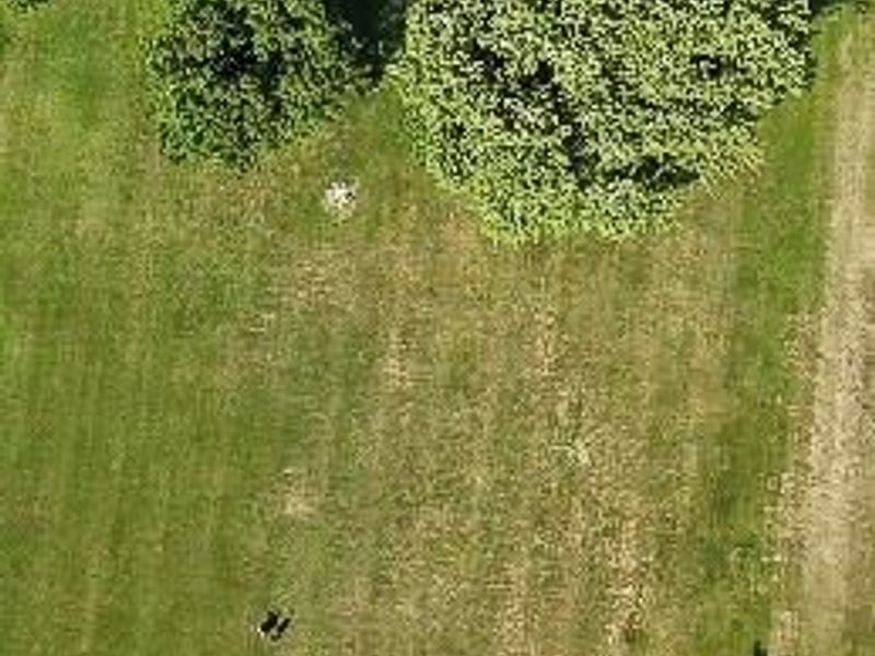 9836 Washington Church Road, Washington Township, OH 45342 Photo 6