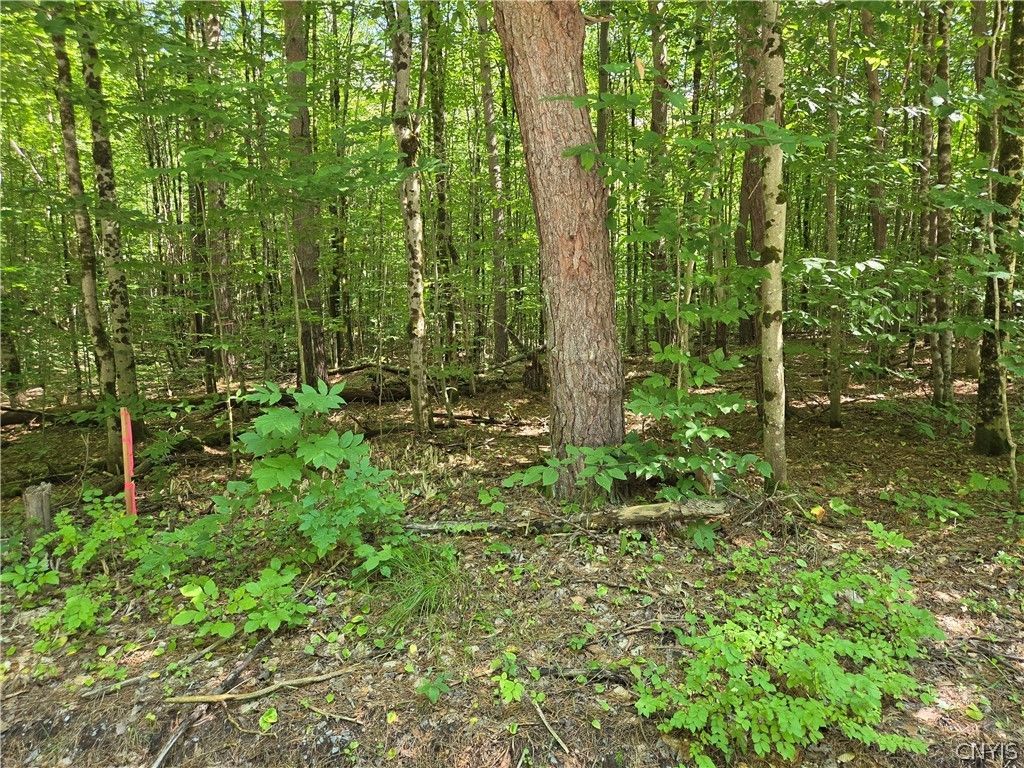 Lot #2 George Hill Road , Glenfield, NY 13343 Main Photo