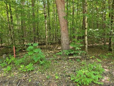 Lot #2 George Hill Road , Glenfield, NY 13343