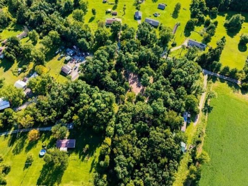 850 Black Road, Hopewell, OH 43746 Photo 4
