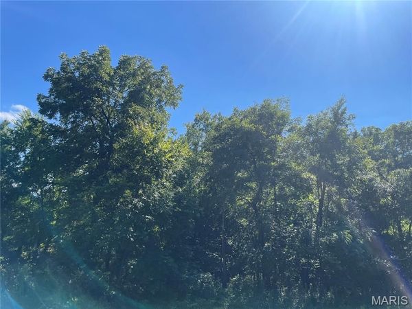 0 Wayne CR 344 , Piedmont, MO 63957