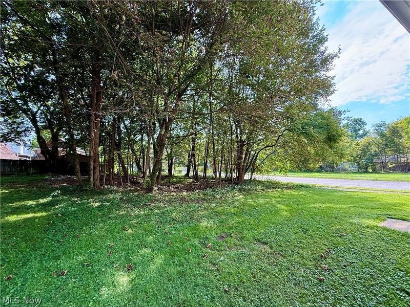 241 Reed Avenue, Campbell, OH 44405 Photo 23