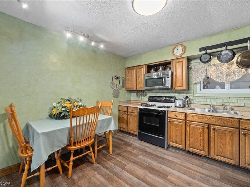 225 Forest Street, Lagrange, OH 44050 Photo 12