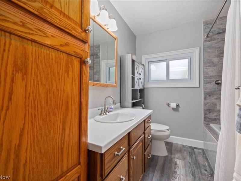 225 Forest Street, Lagrange, OH 44050 Photo 15