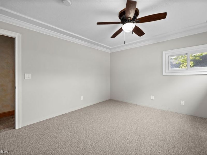 225 Forest Street, Lagrange, OH 44050 Photo 16